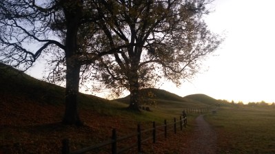 Gamla Uppsala