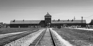auschwitz