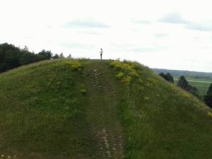 Uppsala midsommar 3 2016