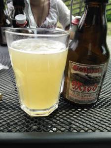 Uppsala midsommar 4 2016