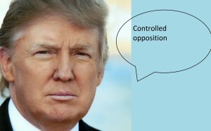 Controlled opposition