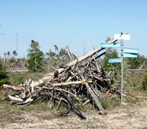 offerkast-vid-torsburgen