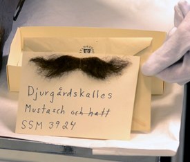 djurgards-kalles-mustach